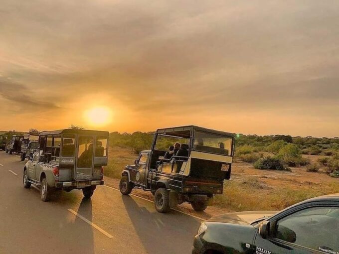Yala National Park : Full Day Safari (04:30 Am - 18:00 Pm) - Safari Highlights
