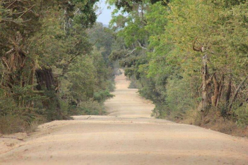 YALA National Park - HALF DAY or FULL DAY TOUR - Final Words