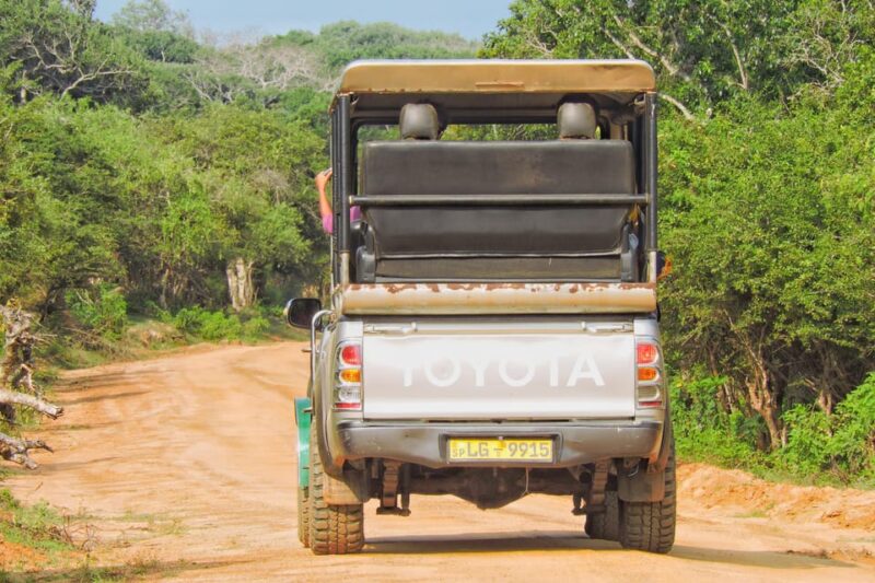 Yala National Park: Half Day Safari With Yala Odyssey Tours - Inclusions