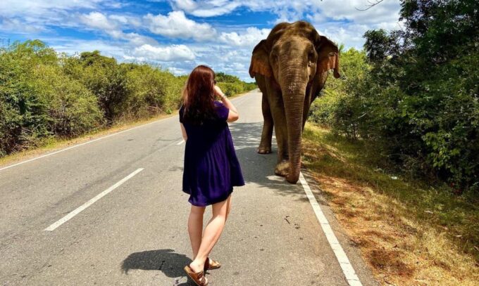 Yala National Park: Morning Afternoon Leopard Wild Safari - Customized Safari Jeeps and Comfort