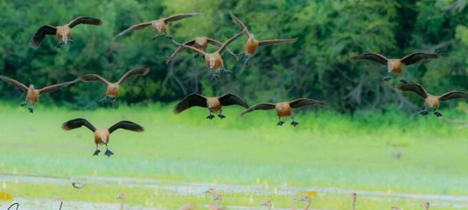 Yala National Park -Morning or Afternoon Leopard Safari Tour - Cancellation and Refund Policy