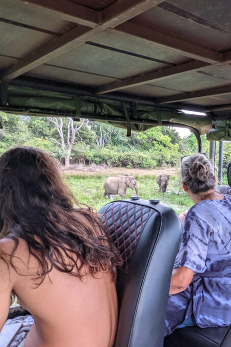 Yala National Park : Morning or Afternoon Safari ( 5 H ) - Booking and Cancellation