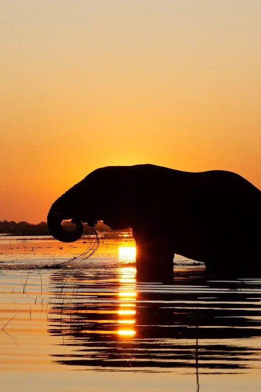 Yala National Park: Private Full Day Safari (04:00-18:00) - Good To Know