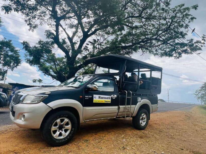 Yala National Park Safari Adventure(Half Day tour) 5 Hour - Why This Tour is a Good Value