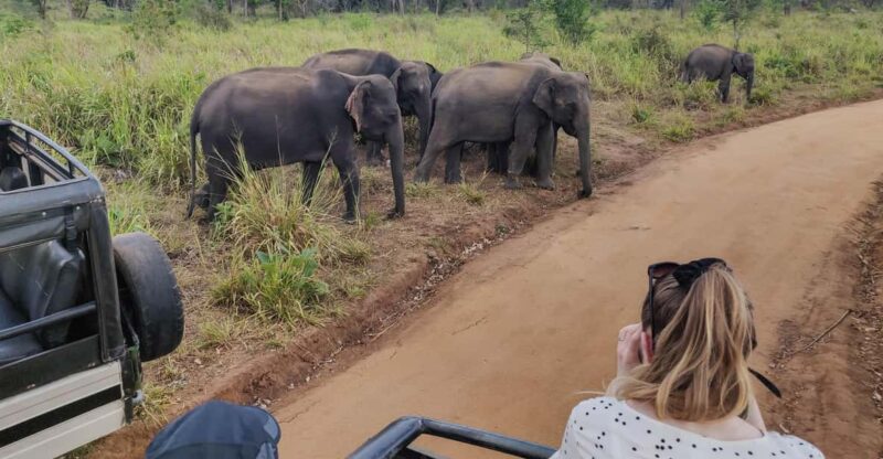 Yala National Park Safari From Hambantota Sea Port - Pricing and Booking