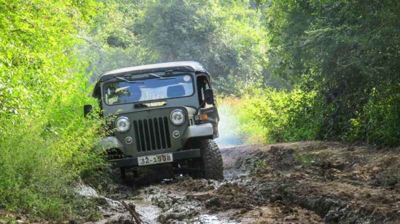 Yala National Park Safari From Hambantota Sea Port - Safety Considerations