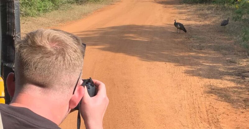 Yala National Park With Safari Jeep & Entrance Tickets - Game Drive Experience