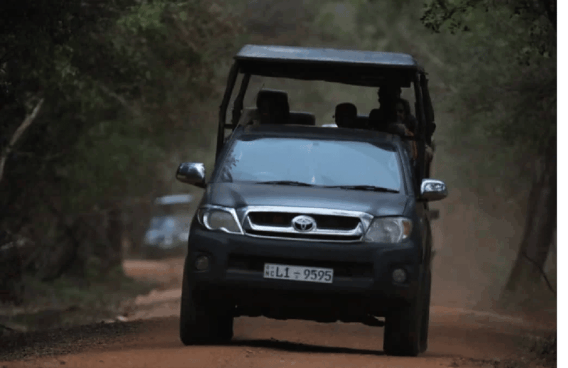 Yala Private Safari | Full Day | Guided by a Professional - Itinerary and Schedule