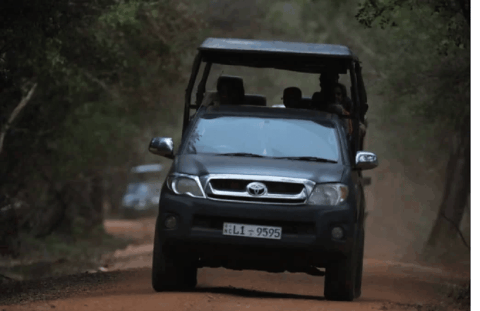 Yala Private Safari Tour Guided by a Professional - Pick-up and Drop-off