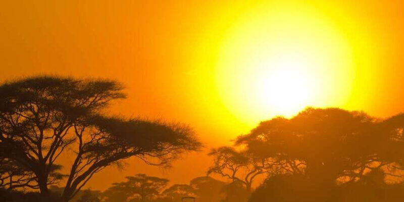 Yala Safari All-Inclusive Package with Convenient Pick Up - The Experience: Pros and Cons
