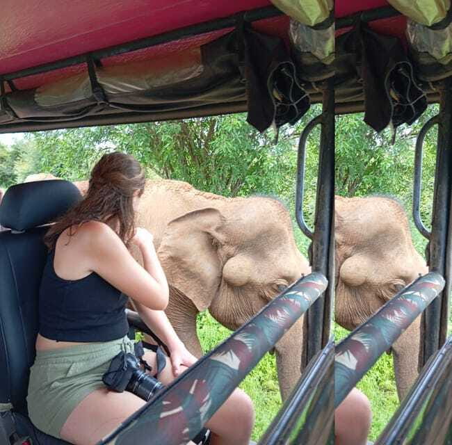 Yala, Udawalawe Safari & Elephant Home Lifetime Experience - Key Points