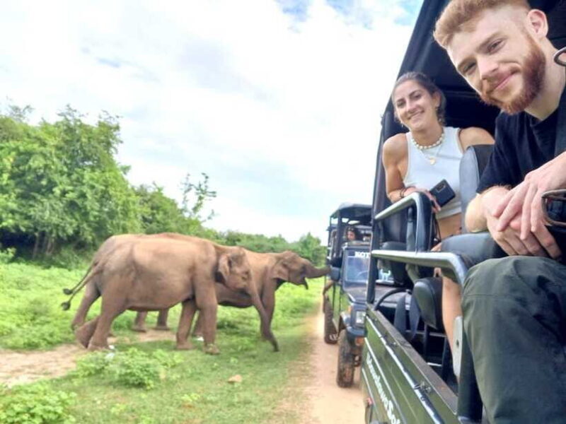 Yala, Udawalawe Safari & Elephant Home Lifetime Experience - Who Will Love This Tour?