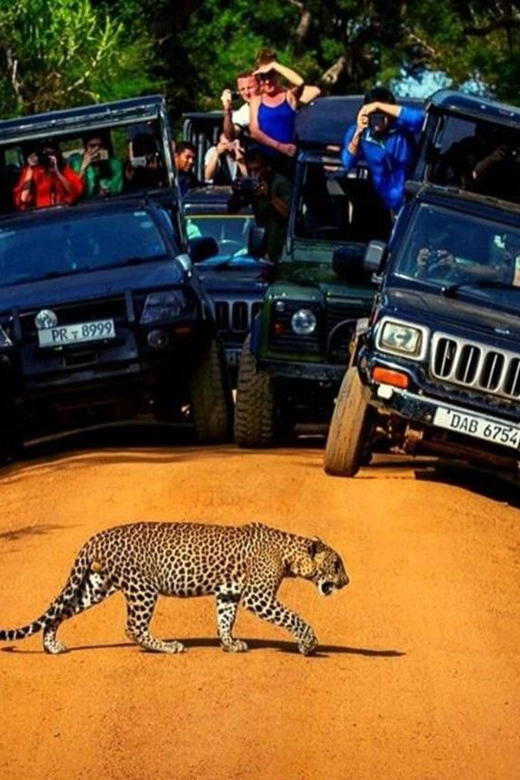 Yala: Yala National Park Safari With Private Jeep - Important Information