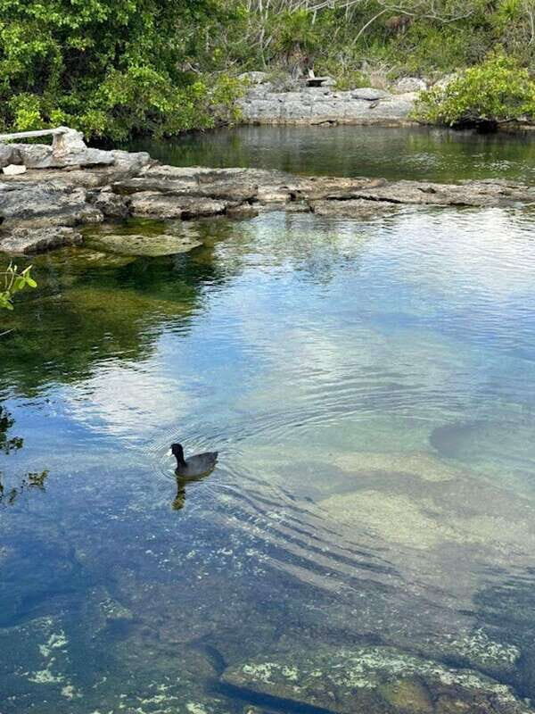 Yalku :Akumal snorkeling Muuch Kay Ecopark - Location and Access