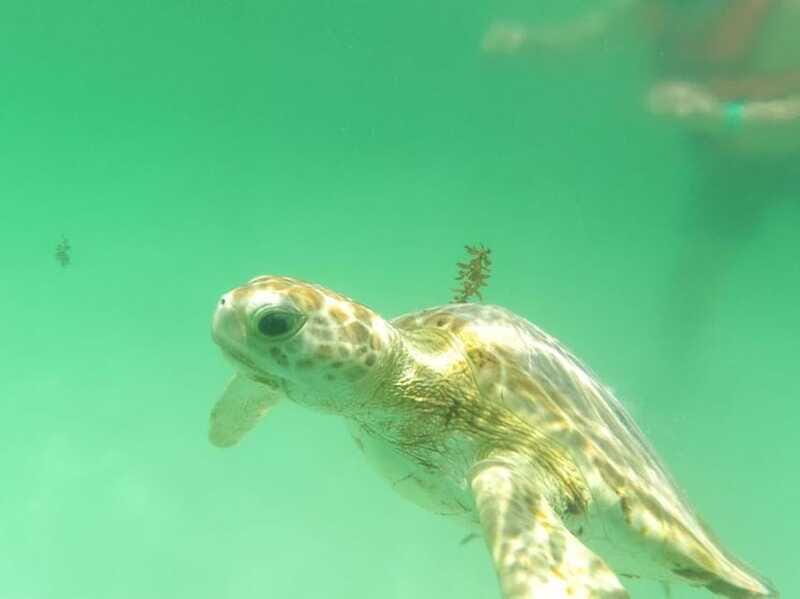 Yalku :Akumal snorkeling Muuch Kay Ecopark - Amenities and Facilities