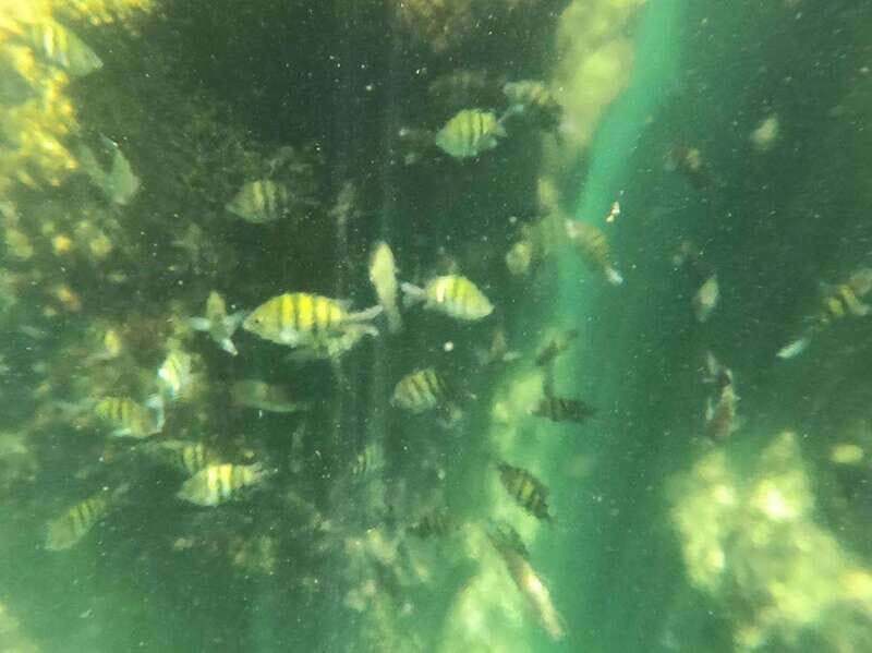 Yalku :Akumal snorkeling Muuch Kay Ecopark - Who Will Love This Tour?