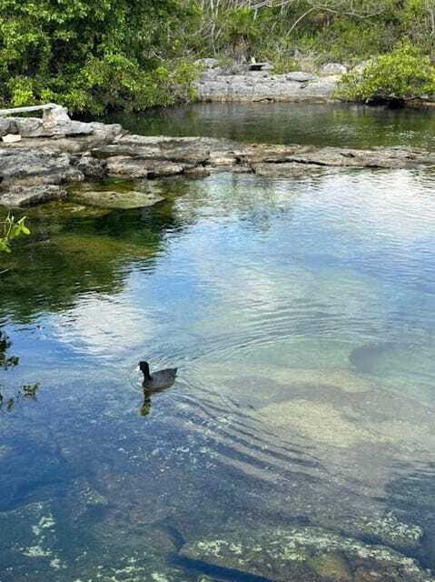 Yalku :Akumal snorkeling Muuch Kay Ecopark - Who Should Consider This?