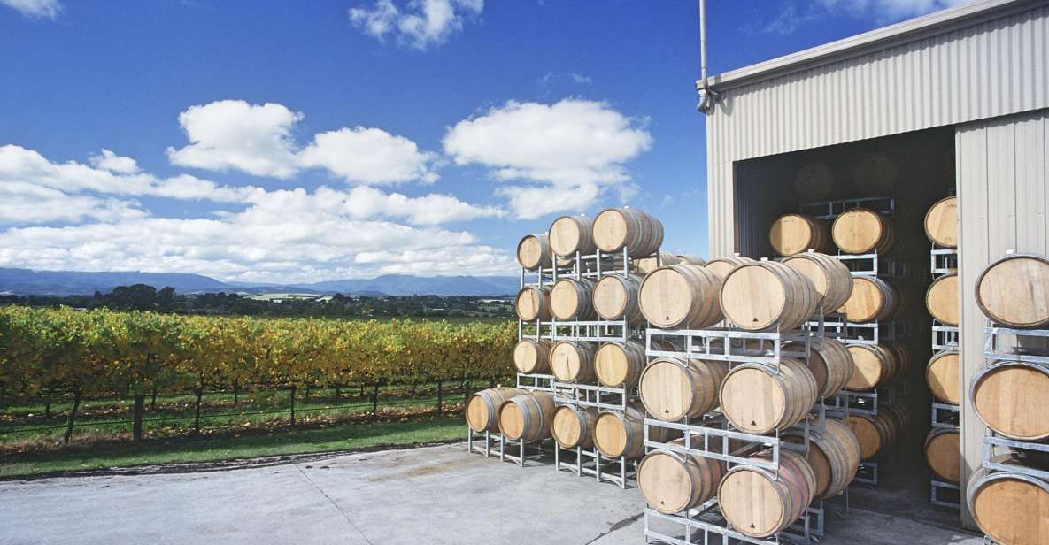 Yarra Valley: Bus Wine Tour With Lunch and a Glass of Wine - Booking Information