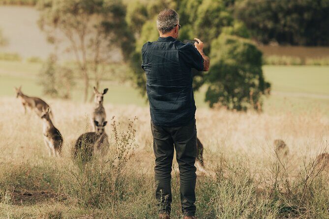 Yarra Valley by night! Private wine, whisky and dinner tour - Who Will Love This Tour?