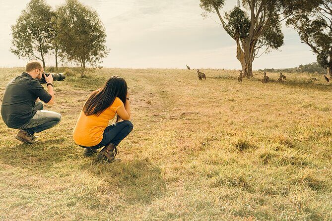 Yarra Valley by night! Private wine, whisky and dinner tour - FAQ