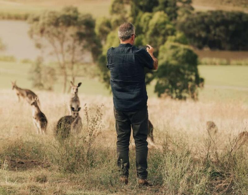 Yarra Valley Foodies Tour with Chandon and Kangaroo Safari! - Practical Tips for Travelers