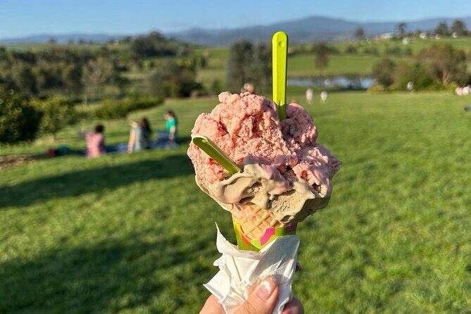 Yarra Valley Foodies Tour with Chandon & Kangaroo Safari! - Final Thoughts