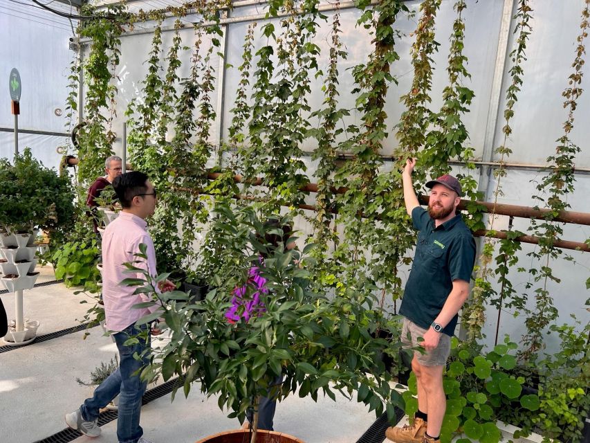 Yarra Valley: Full-Day Gourmet Tour With Lunch - Recap