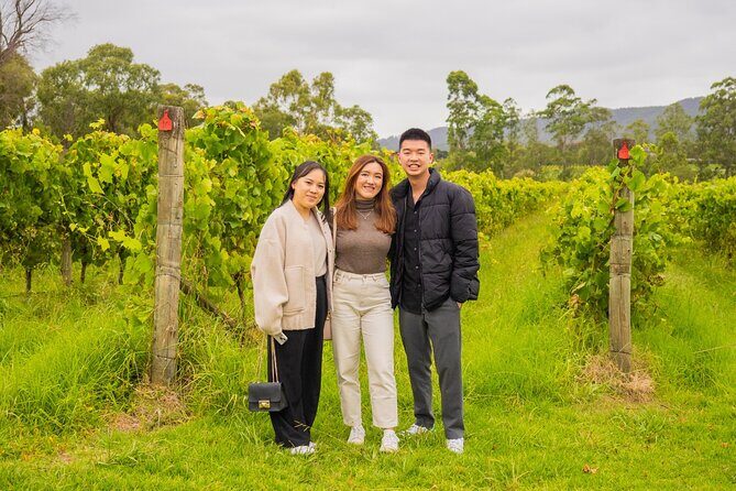 Yarra Valley Grazing Tour Wine, Cheese, Gin, Pizza from Melbourne - Who Will Love This Tour?