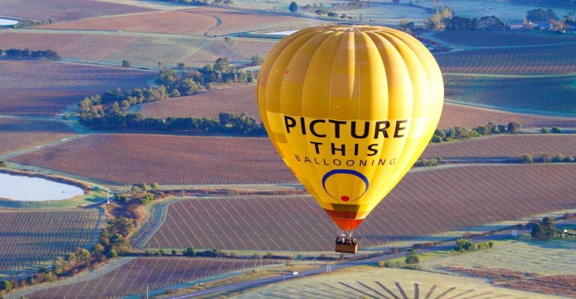 Yarra Valley: Hot Air Balloon Experience - Language and Highlights