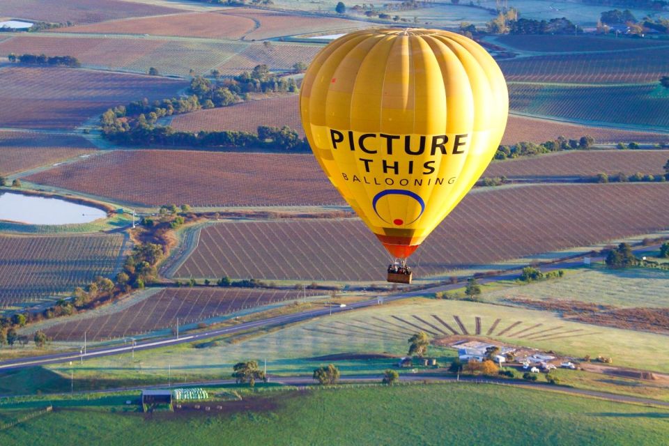 Yarra Valley: Hot Air Balloon Experience - Experience Description