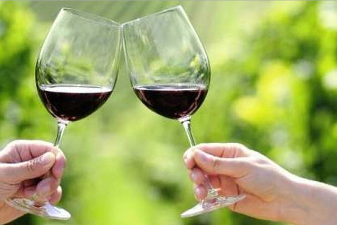 Yarra Valley Premium Tour inc Lunch and Cheese and Wine Pairing at De Bortoli - FAQ