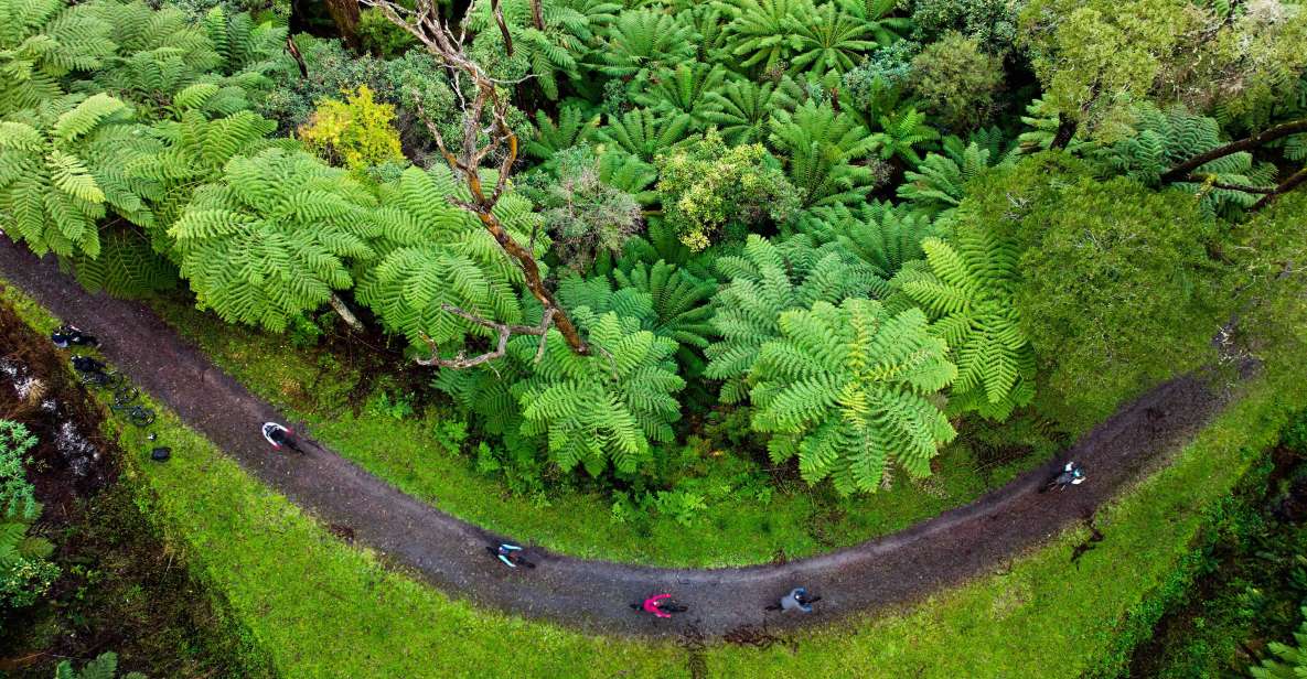 Yarra Valley: Redwood Forest Mountain Bike Adventure - Reservation Information