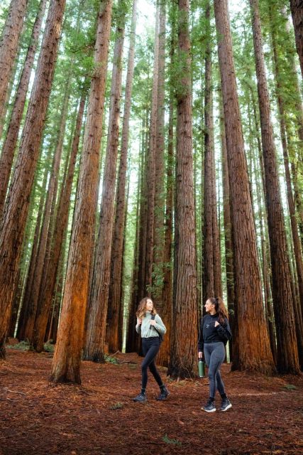 Yarra Valley: Redwood Forest Mountain Bike Adventure - Meeting Point and Directions
