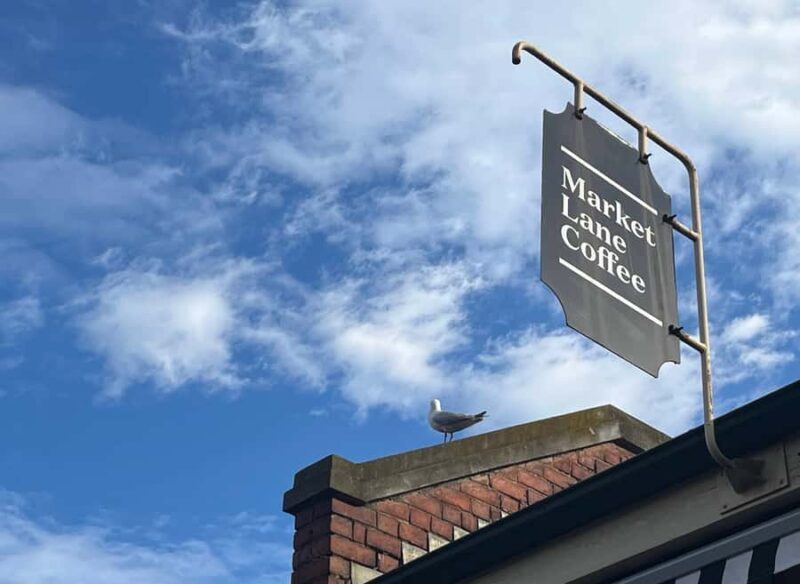 Yarra Valley | Redwoods, Wildlife, Wine, Chocolate - The Sum Up