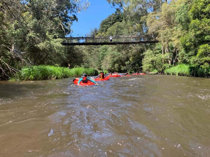 Yarra Valley: Self-Guided River Sledding Adventure - Equipment and Safety