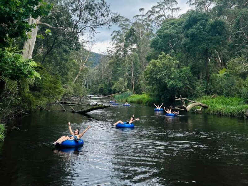 Yarra Valley: Self-Guided River Tubing Adventure - The Sum Up