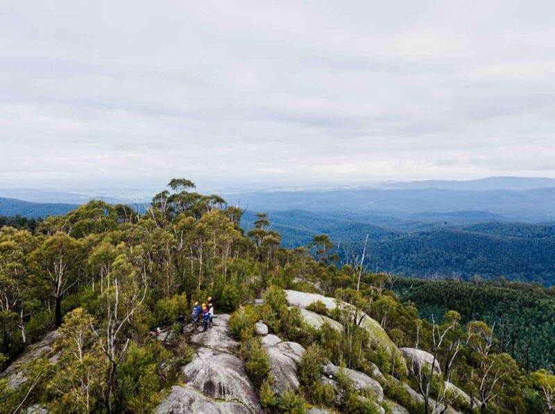 Yarra Valley: Seven Acre Rock Abseiling Adventure - Discovering the Experience: What’s It Really Like?
