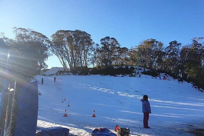 Yarra Valley Wineries Day Trip - Final Thoughts