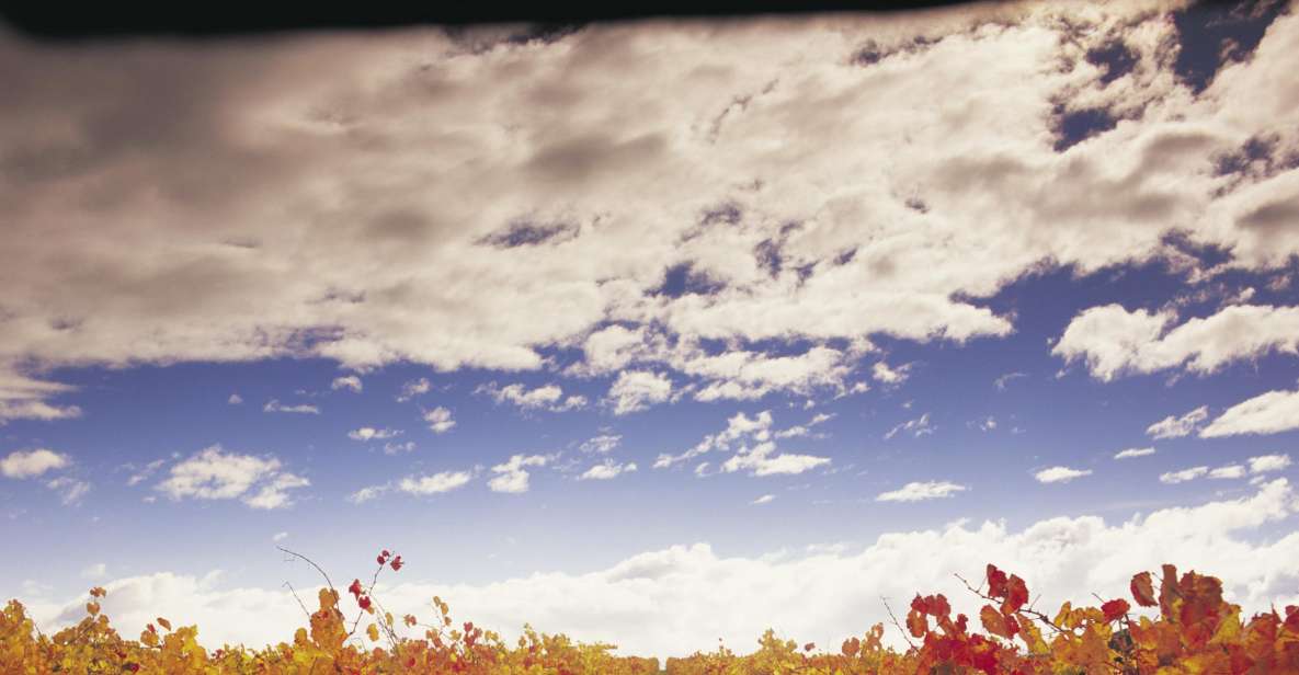 Yarra Valley: Winery Tour With Lunch at Yering Station - Key Points