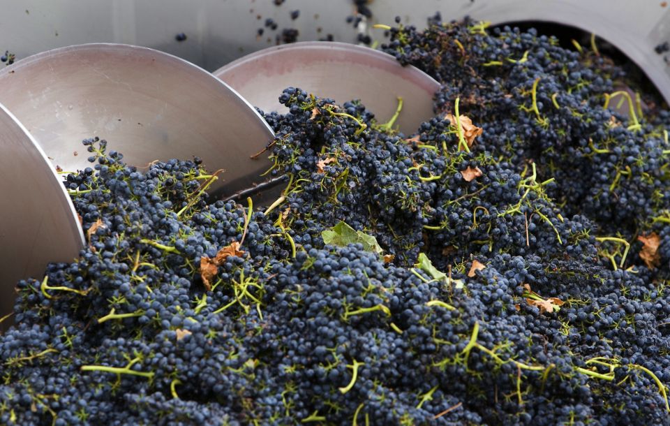 Yarra Valley: Winery Tour With Lunch at Yering Station - Itinerary Highlights