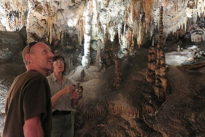 Yarrangobilly Caves: Jersey Cave Guided Tour - Key Points