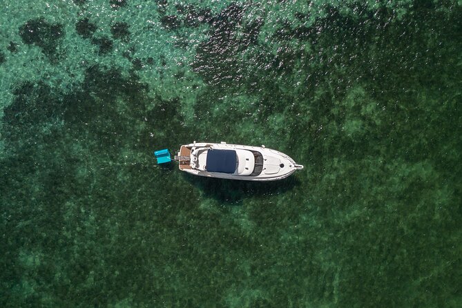 Yatch Day on Miami Waters - Accessibility and Participation