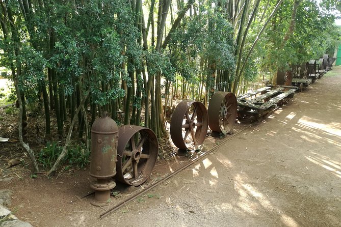Yaxcopoil Hacienda, Uxmal & Cenote From Merida - Customer Feedback Themes
