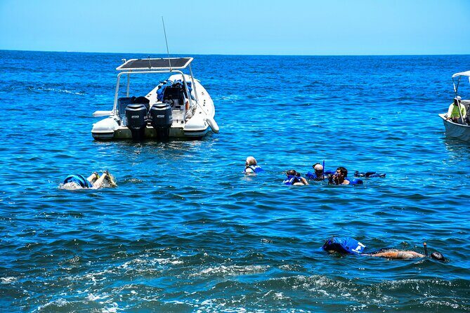 Yelapa Adventure and Snorkeling Escape in Puerto Vallarta - Relaxing on Yelapa’s Beaches