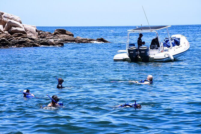 Yelapa Adventure and Snorkeling Escape in Puerto Vallarta - What Past Travelers Say