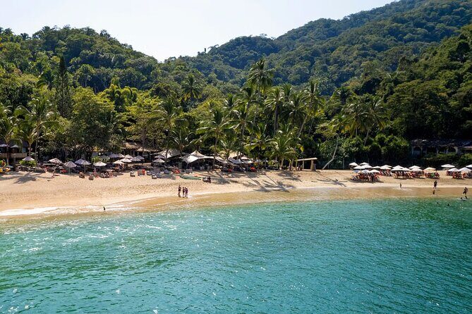 Yelapa Beach and Majahuitas Beach Tour with Snorkeling and BBQ in Playa - Authentic Experiences and Traveler Insights
