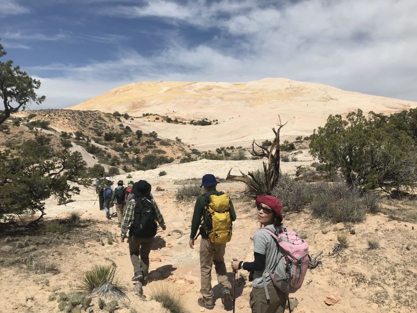 Yellow Rock, Utah: Advanced Hiking Tour - Learning From a Local Guide