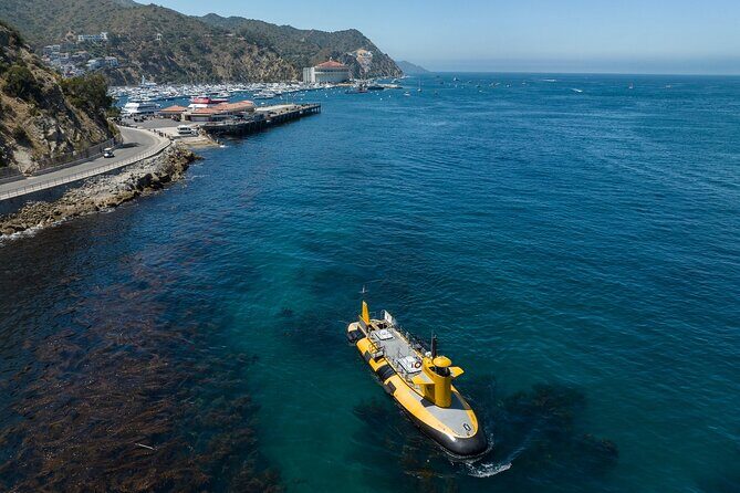 Yellow Semi-Submarine Tour of Catalina Island From Avalon - Exploring the Yellow Semi-Submarine Tour of Catalina Island from Avalon