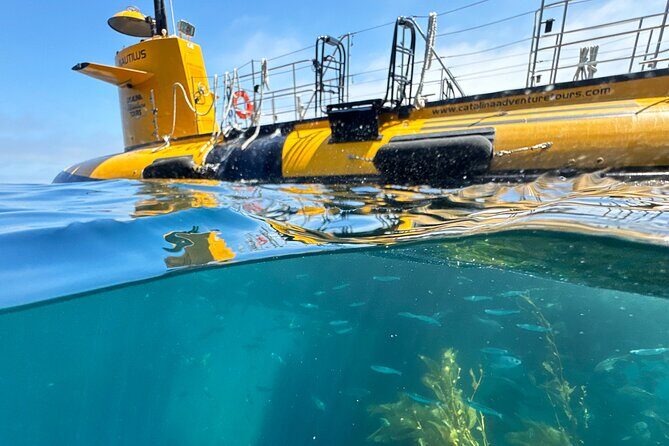Yellow Semi-Submarine Tour of Catalina Island From Avalon - What to Expect from the Tour