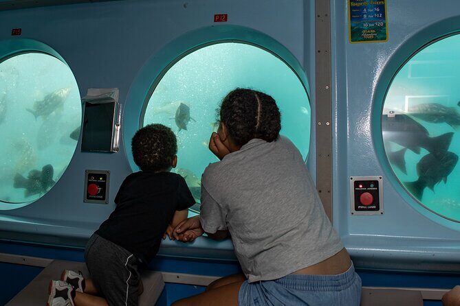 Yellow Semi-Submarine Tour of Catalina Island From Avalon - Summary